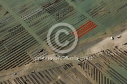 Parcs à huîtres Pointe de la Fumée à Fouras Parcs à huîtres Pointe de la Fumée à Fouras